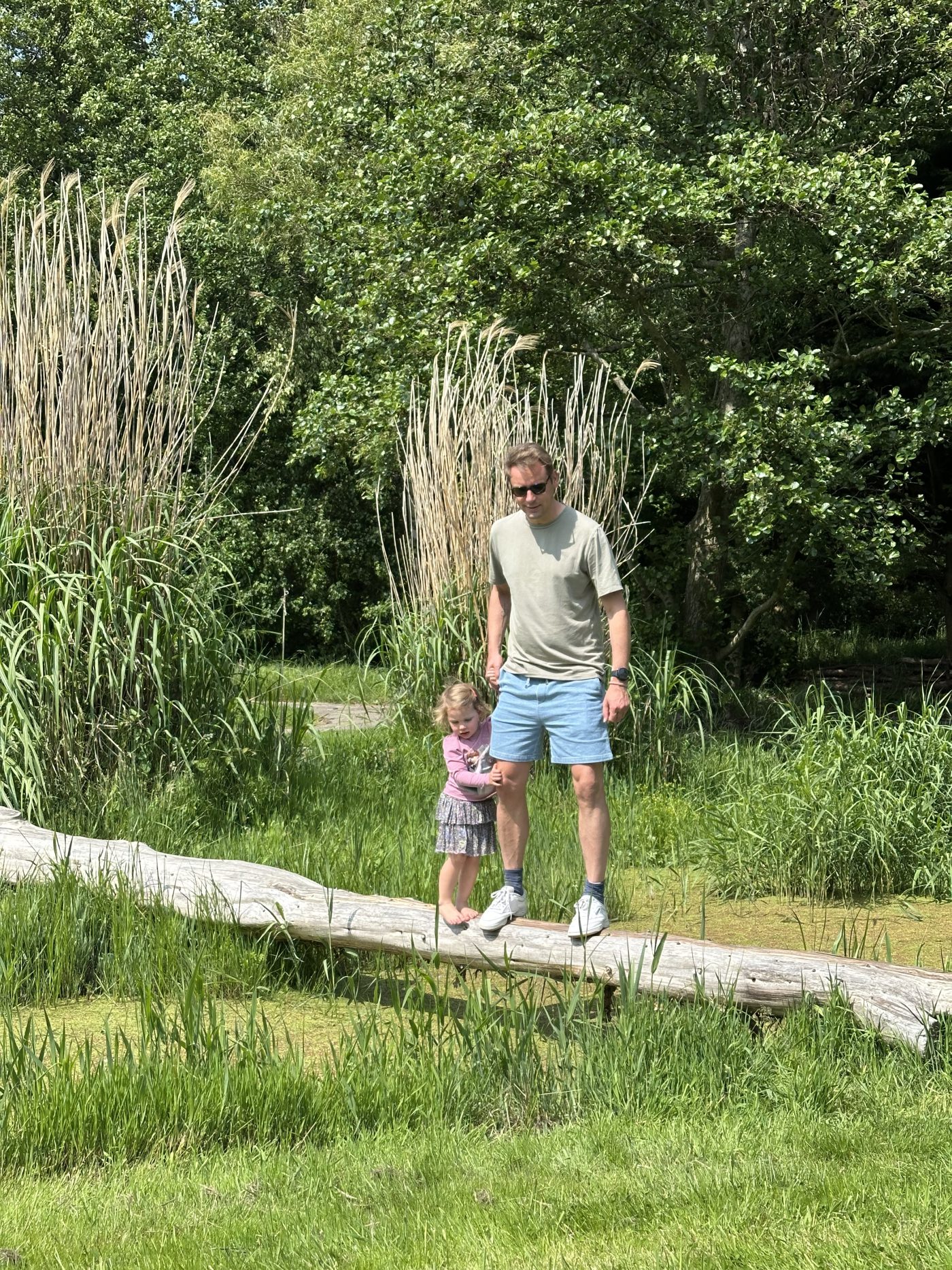 De weg koos mij